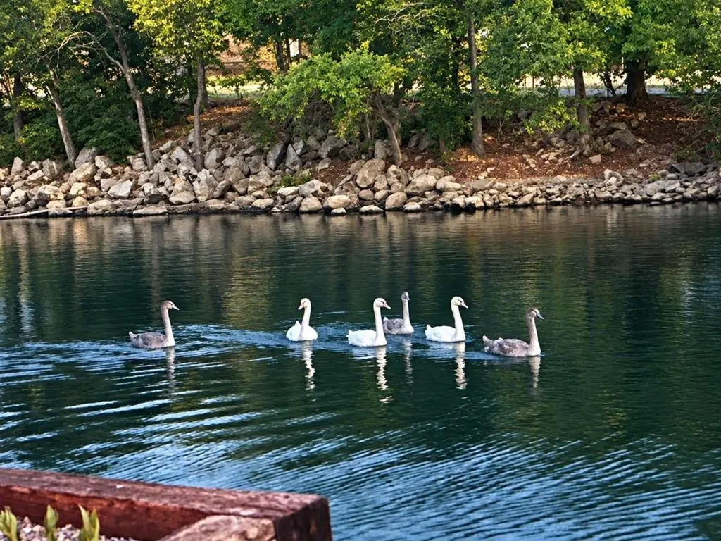 Photo 42 — 10208 Westlake Drive, Oklahoma City, OK 73162