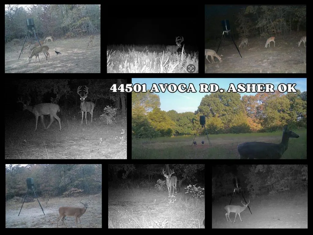 Photo 50 — 44501 Avoca Road, Asher, OK 74826
