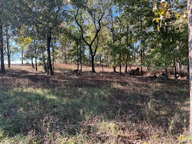 Photo 7 — Deer Valley Circle Circle, Broken Bow, OK 74728