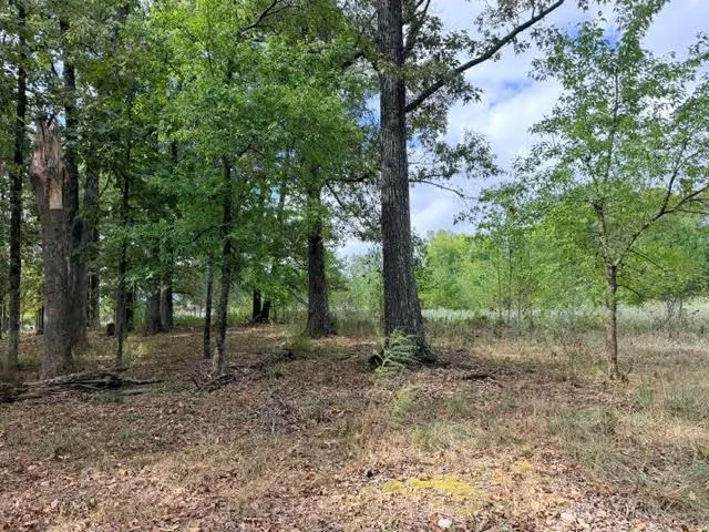 Photo 18 — Deer Valley Circle Circle, Broken Bow, OK 74728