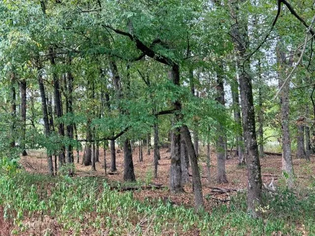 Photo 19 — Deer Valley Circle Circle, Broken Bow, OK 74728