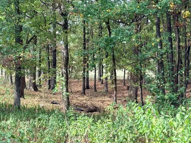 Photo 20 — Deer Valley Circle Circle, Broken Bow, OK 74728