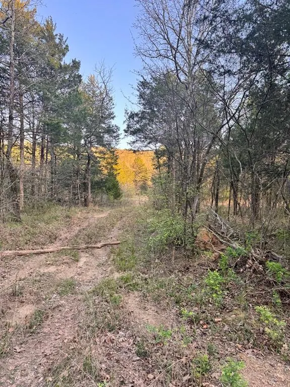 Photo 29 — 11222 SE HWY 2, Tuskahoma, OK 74574