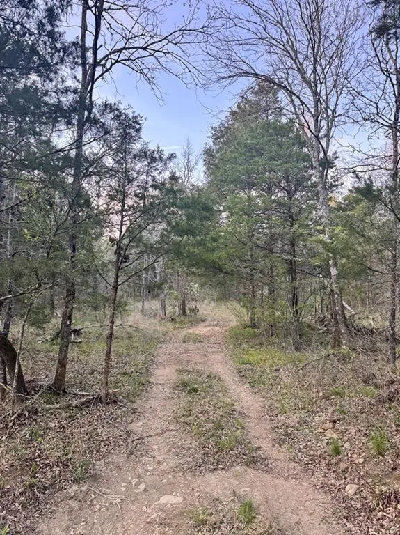 Photo 30 — 11222 SE HWY 2, Tuskahoma, OK 74574