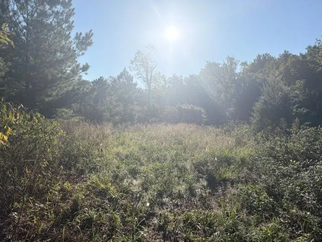 Photo 20 — 970432 S 3290 Road, Luther, OK 73054