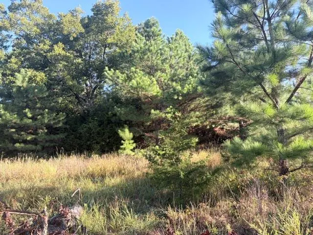 Photo 22 — 970432 S 3290 Road, Luther, OK 73054
