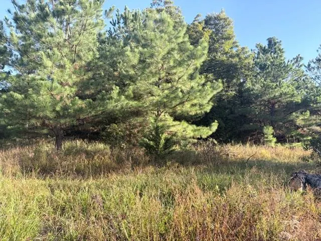 Photo 25 — 970432 S 3290 Road, Luther, OK 73054