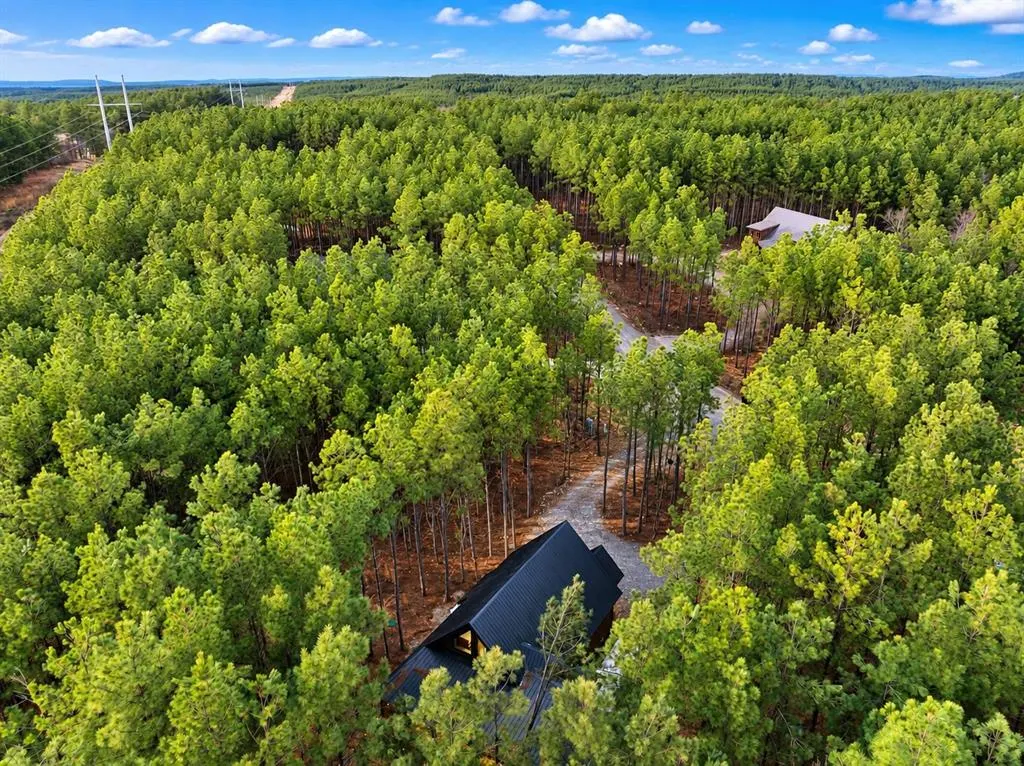 Photo 4 — 127 Bear Elm Trail, Broken Bow, OK 74728