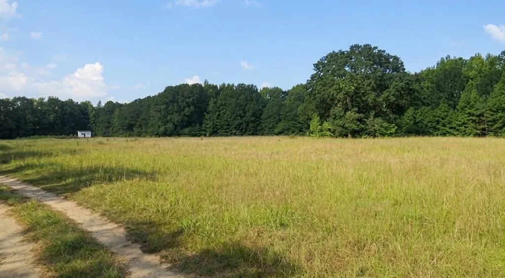 Photo 3 — 739 Bethel Cemetery Road, Broken Bow, OK 74728