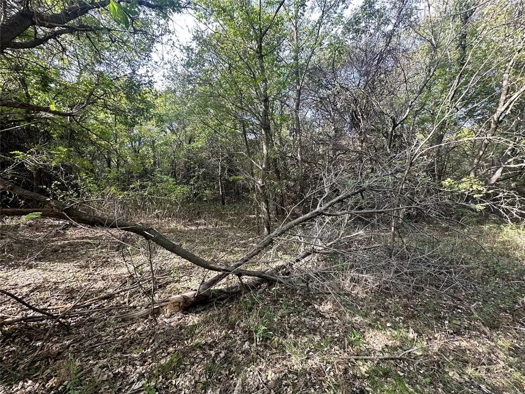 Photo 4 — 8730 Old Oak Lane, Noble, OK 73068