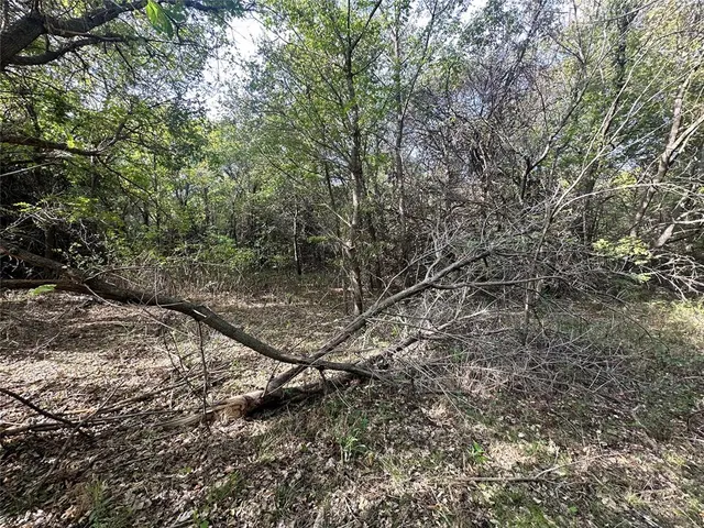 Photo 4 — 8730 Old Oak Lane, Noble, OK 73068