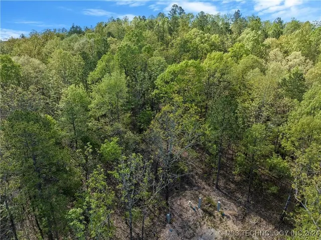 Photo 2 — 50 Cedar Trail, Broken Bow, OK 74728