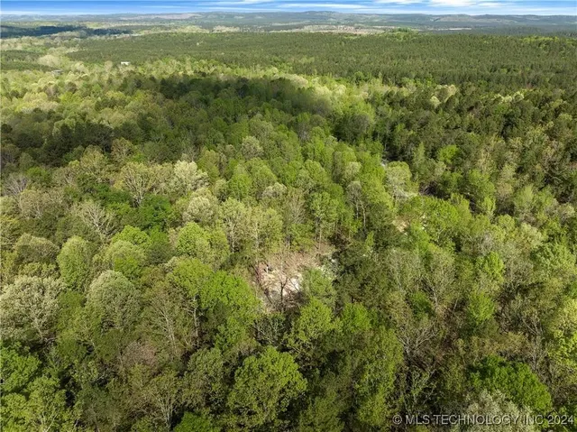 Photo 4 — 50 Cedar Trail, Broken Bow, OK 74728