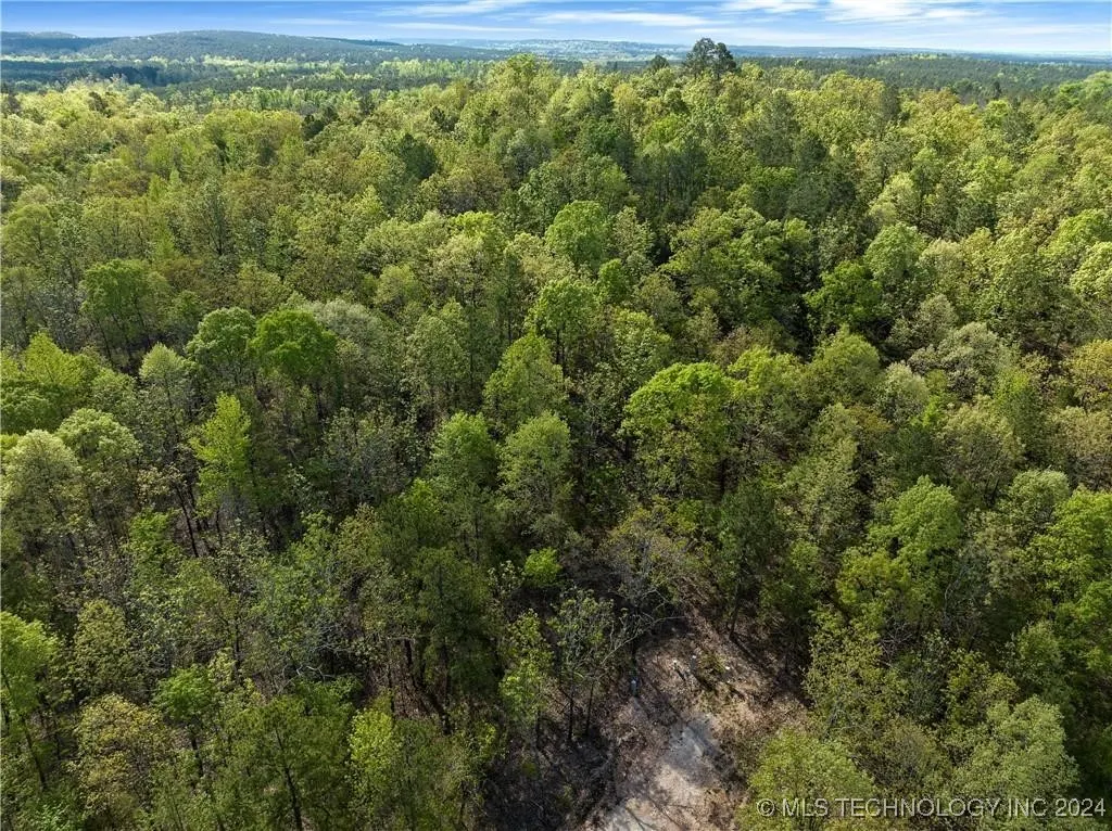 Photo 10 — 50 Cedar Trail, Broken Bow, OK 74728