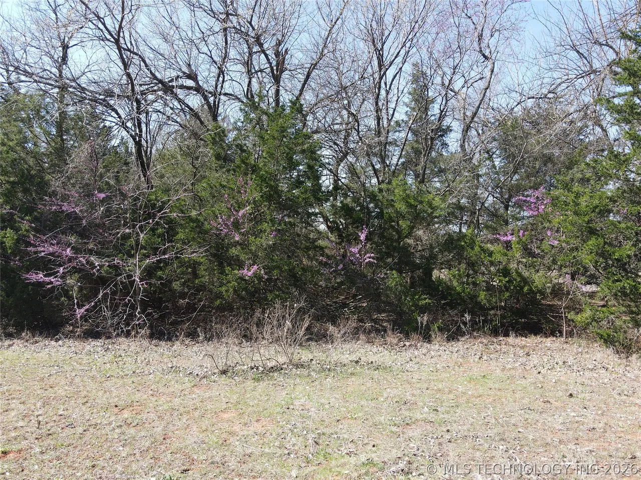 Photo 22 — 2441 E Rock Creek Road, Blanchard, OK 73010