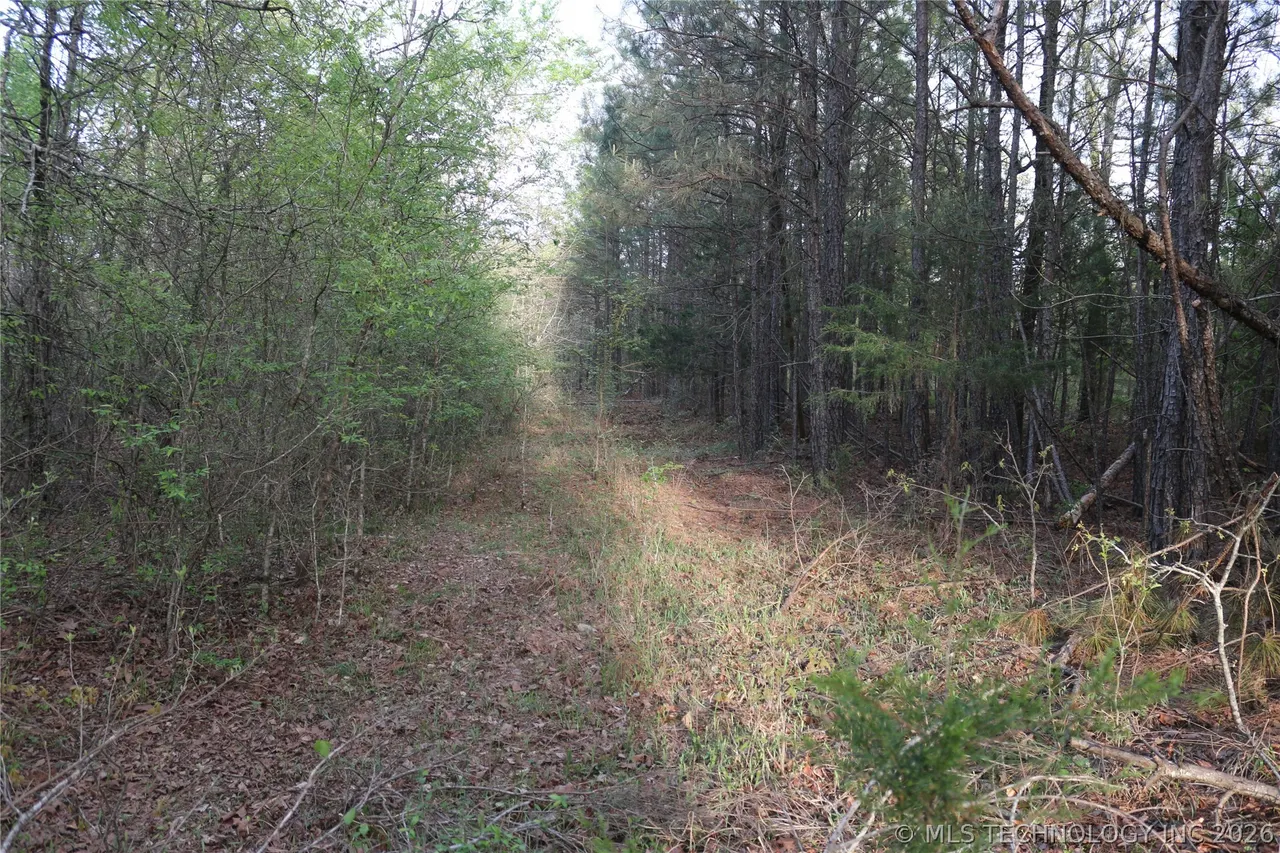 Photo 38 — 496 WYR 56746 Road, Broken Bow, OK 74728