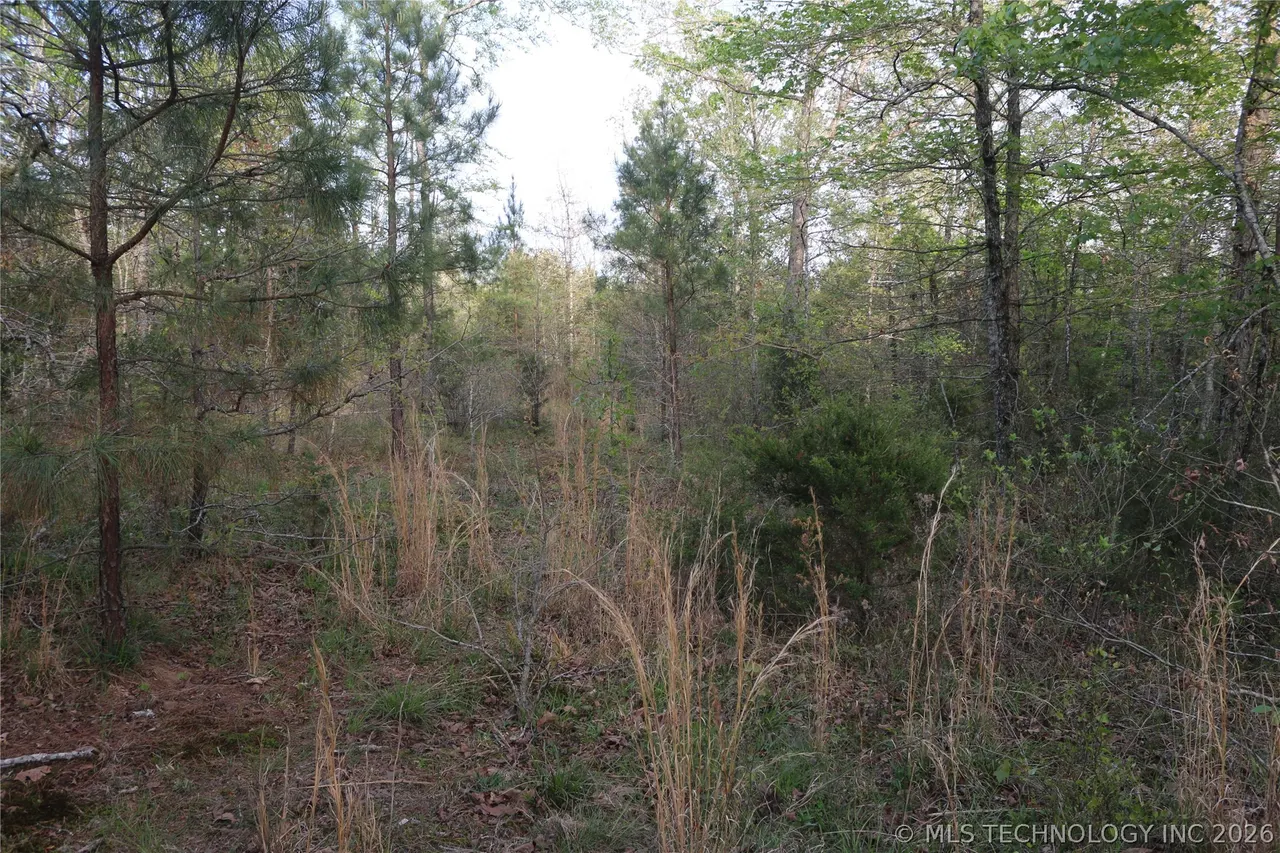 Photo 40 — 496 WYR 56746 Road, Broken Bow, OK 74728