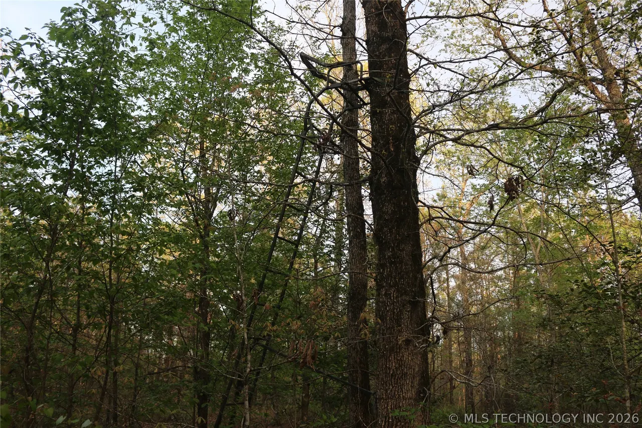Photo 50 — 496 WYR 56746 Road, Broken Bow, OK 74728