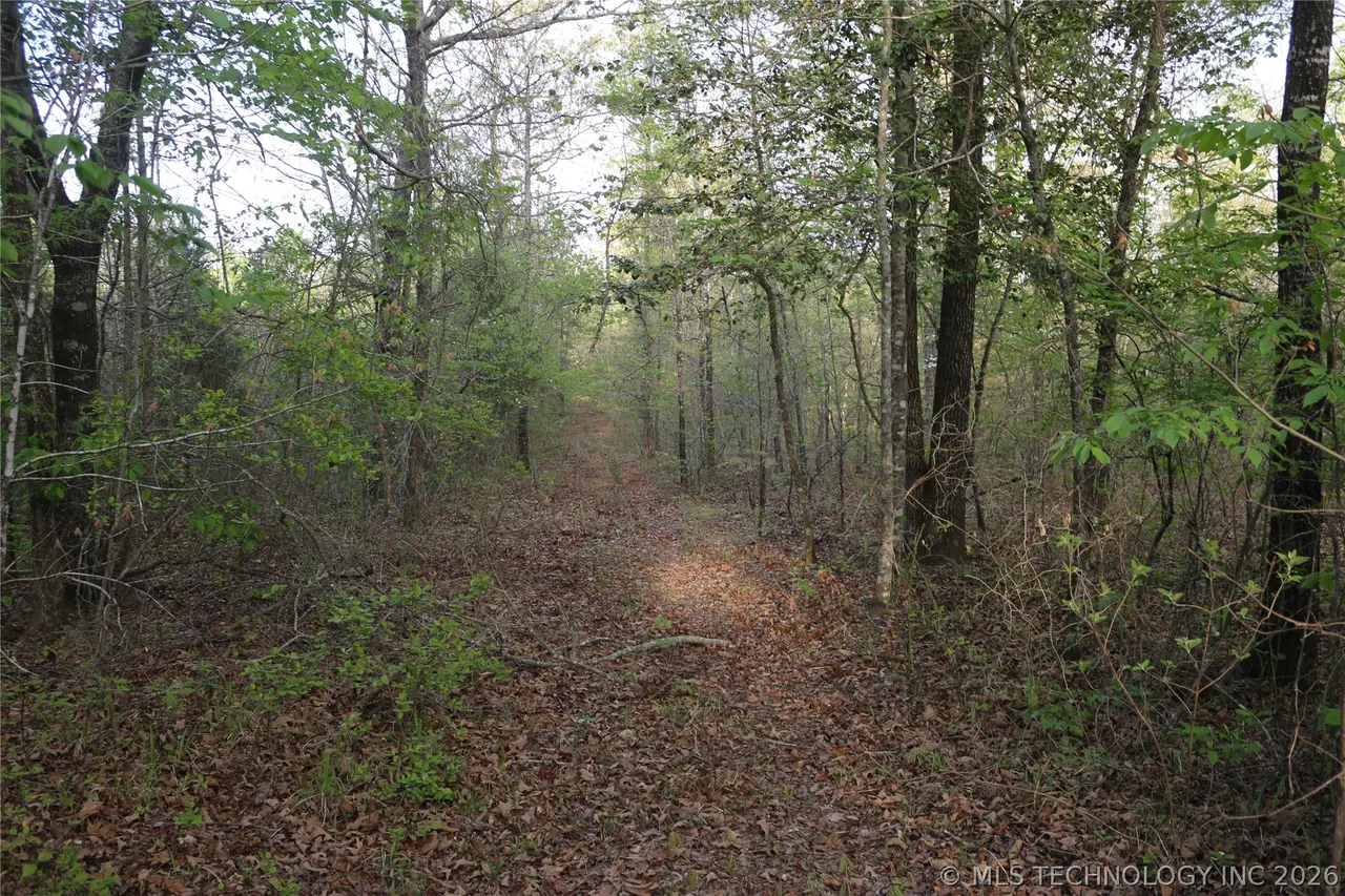 Photo 45 — 496 WYR 56746 Road, Broken Bow, OK 74728