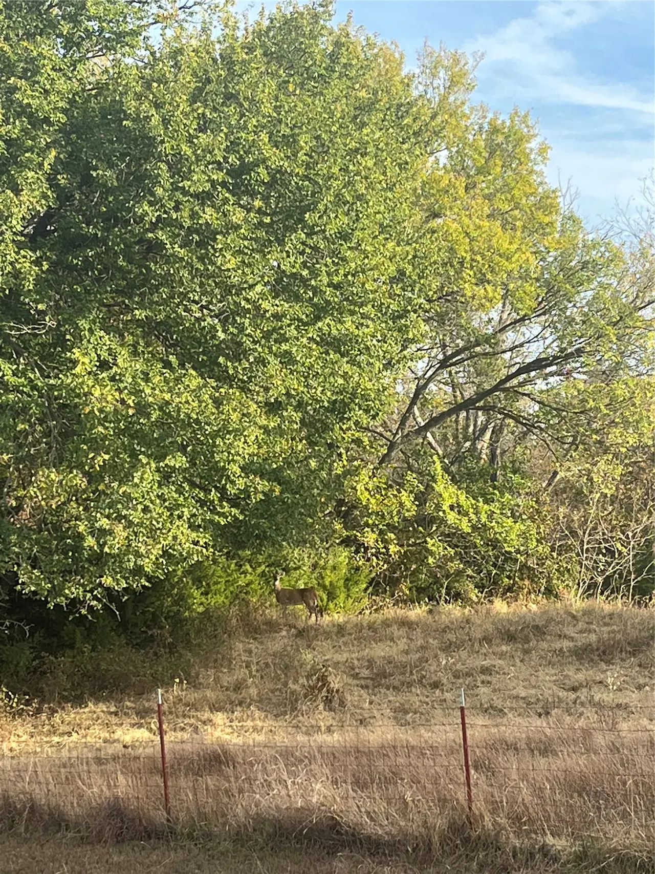 Photo 23 — 00 Range Road, Stillwater, OK 74075