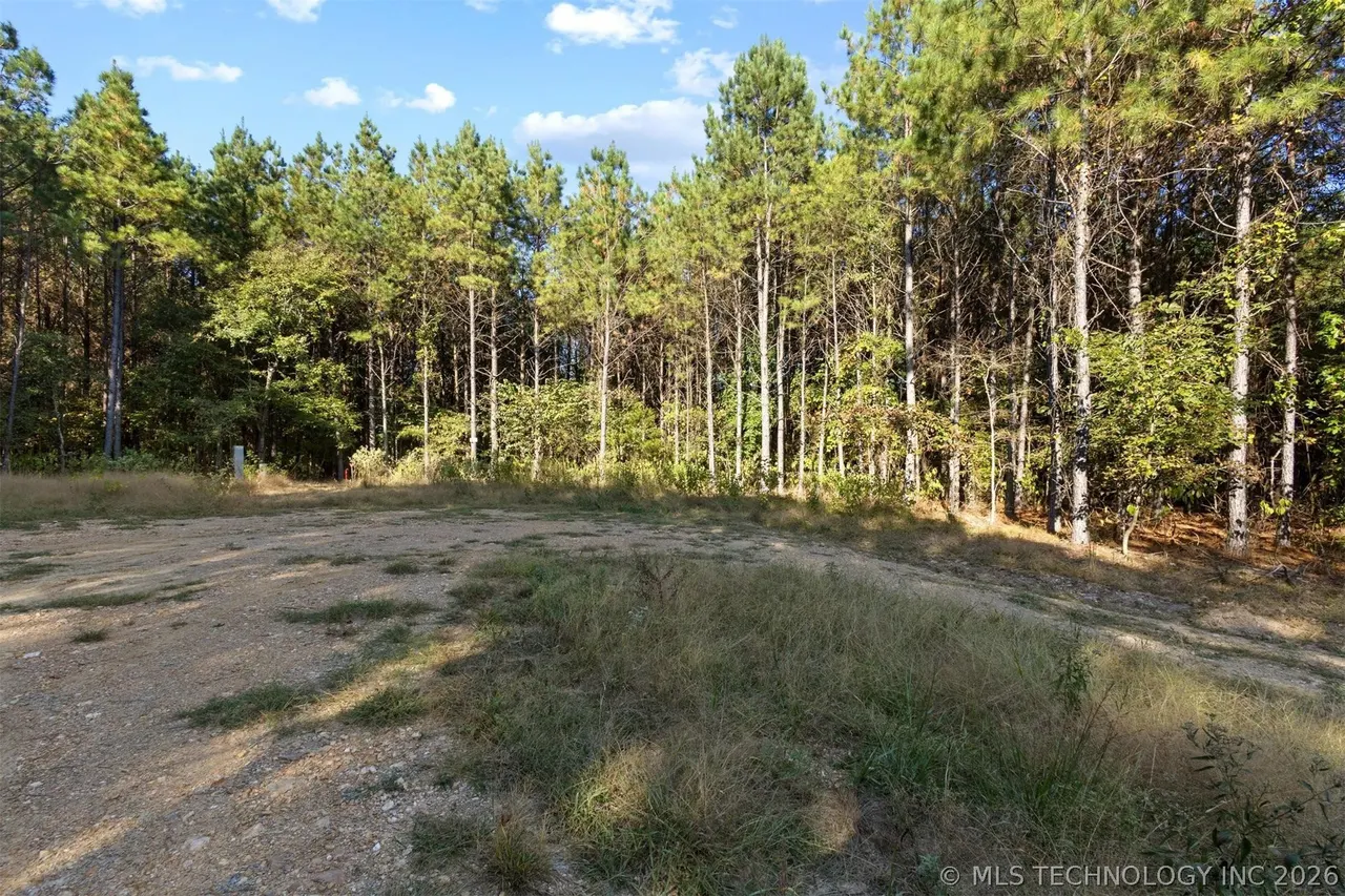 Front exterior — 134 Wolf Tree Trail, Broken Bow, OK 74728