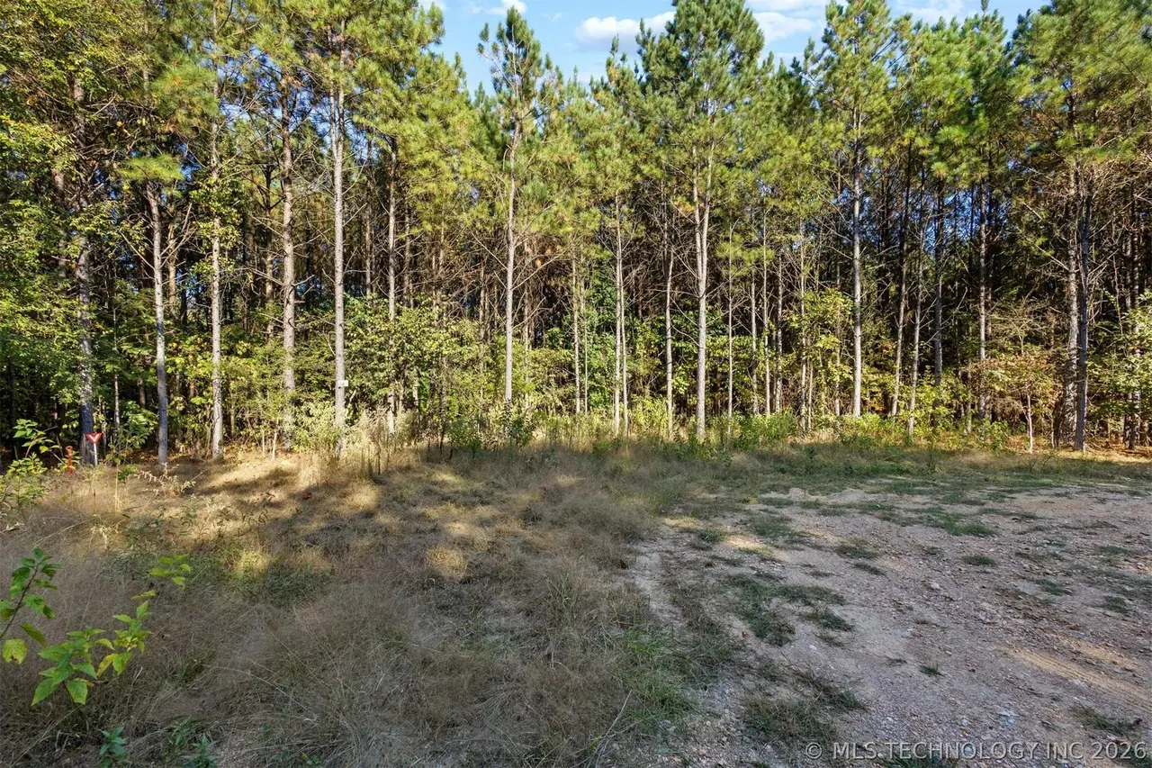 Photo 2 — 134 Wolf Tree Trail, Broken Bow, OK 74728