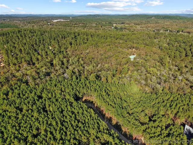 Photo 5 — 134 Wolf Tree Trail, Broken Bow, OK 74728