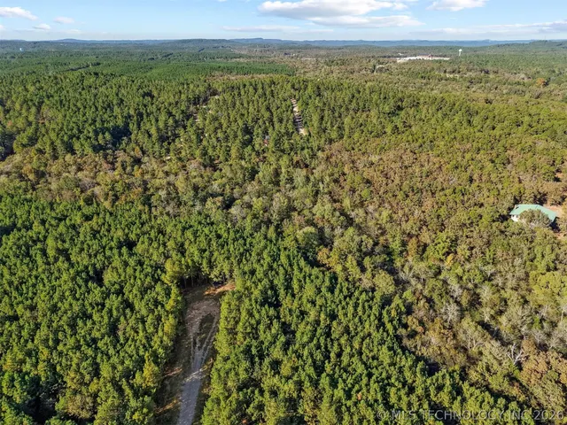 Photo 7 — 134 Wolf Tree Trail, Broken Bow, OK 74728