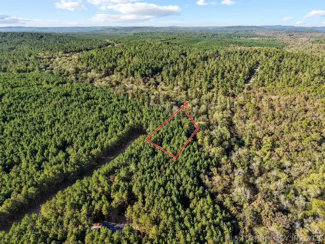 Photo 8 — 134 Wolf Tree Trail, Broken Bow, OK 74728