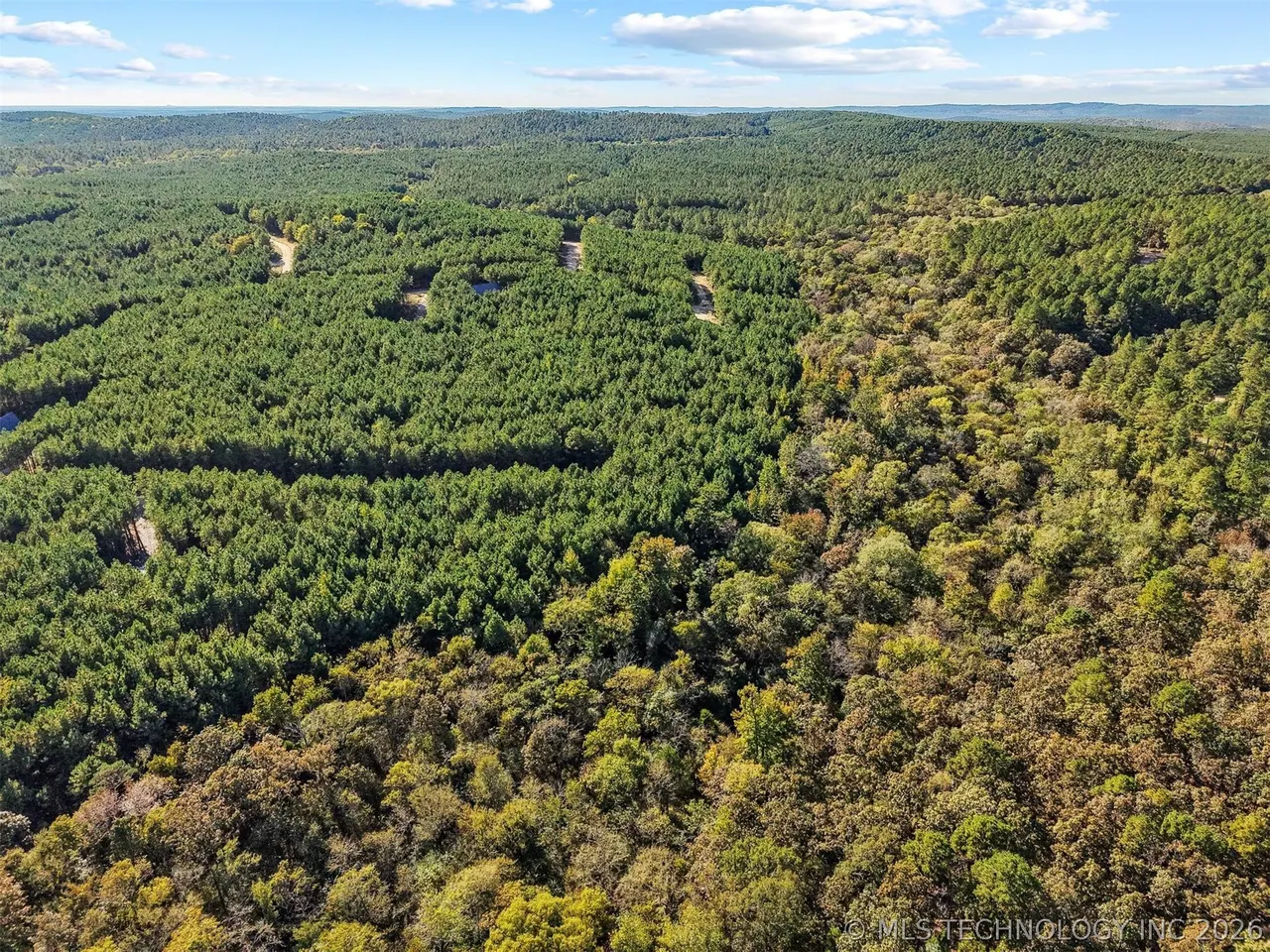 Photo 11 — 134 Wolf Tree Trail, Broken Bow, OK 74728