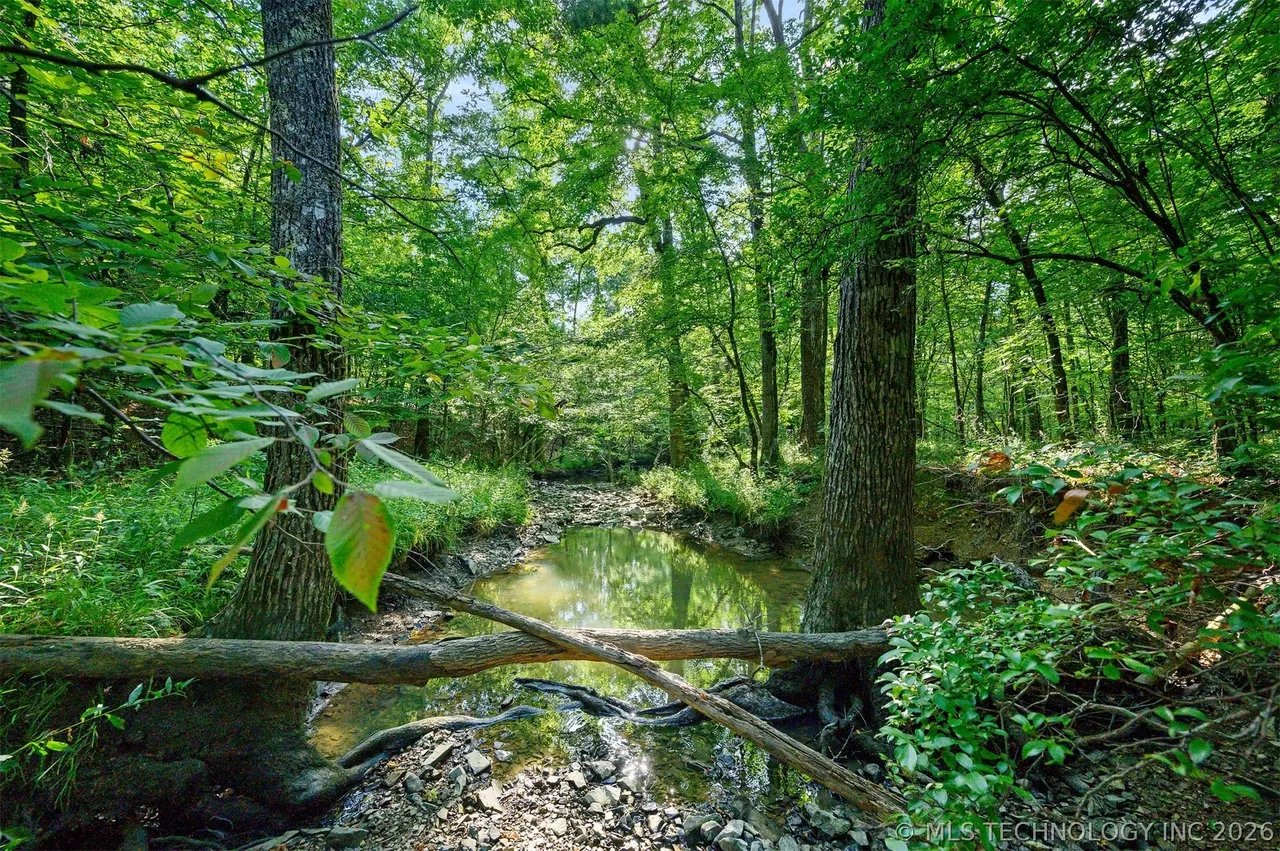 Photo 3 — 66 Aged Acacia Trail, Broken Bow, OK 74728