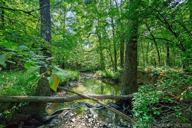 Photo 3 — 66 Aged Acacia Trail, Broken Bow, OK 74728
