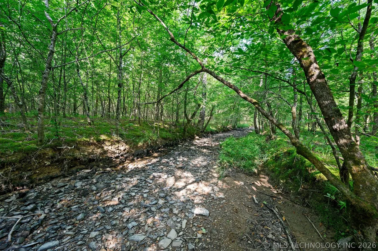 Photo 4 — 66 Aged Acacia Trail, Broken Bow, OK 74728