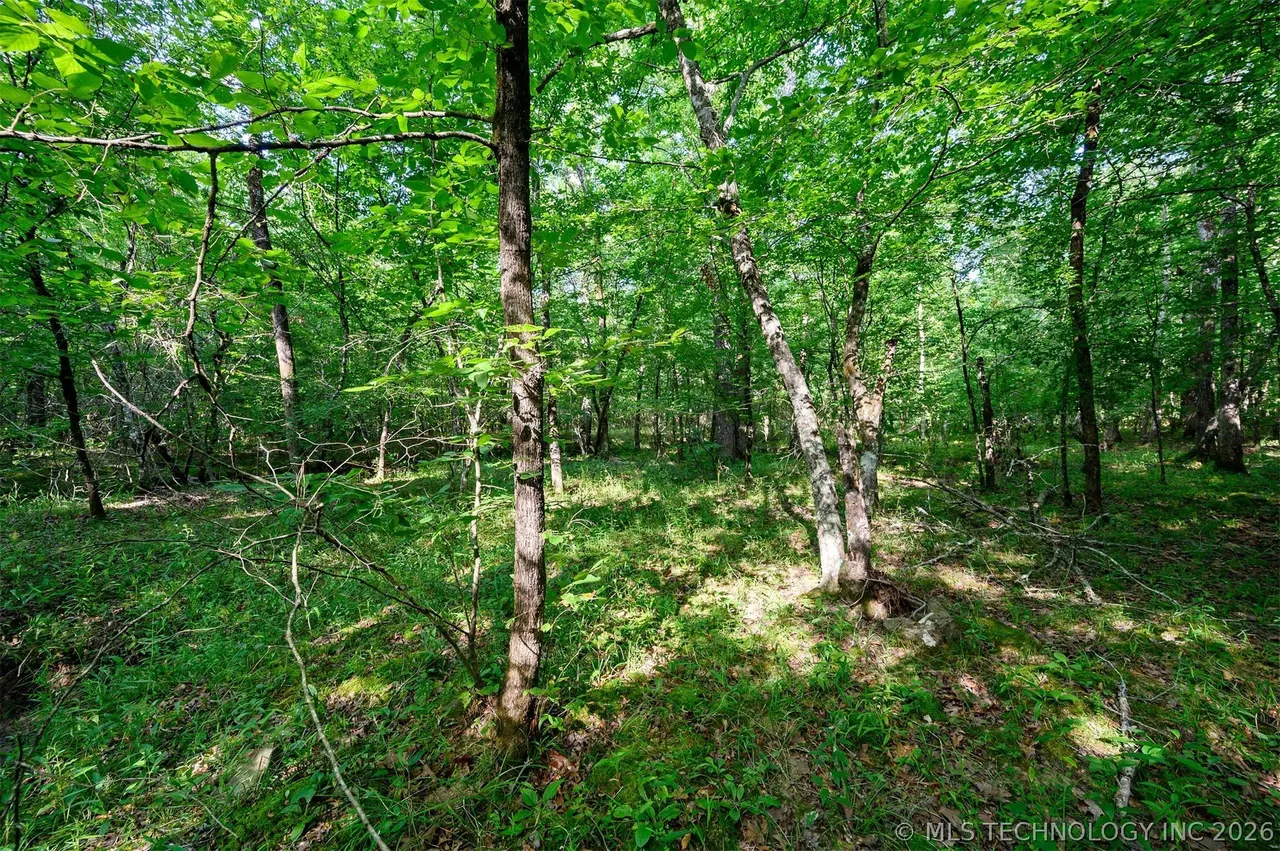 Photo 5 — 66 Aged Acacia Trail, Broken Bow, OK 74728