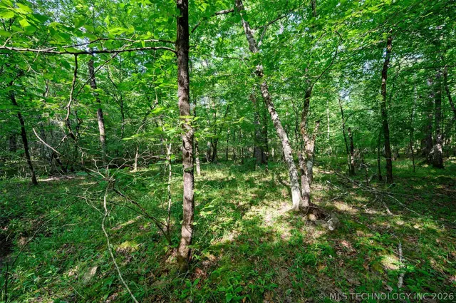 Photo 5 — 66 Aged Acacia Trail, Broken Bow, OK 74728