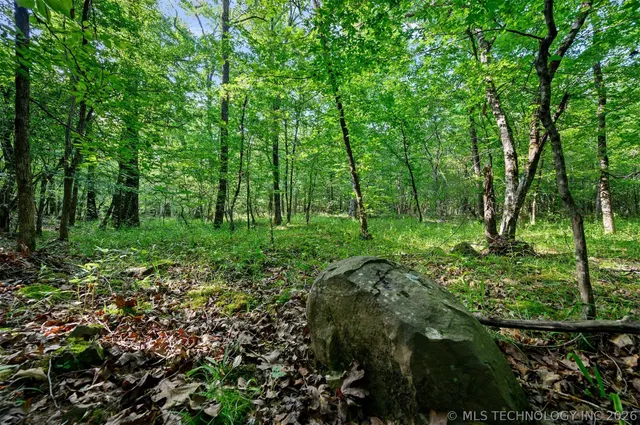Photo 6 — 66 Aged Acacia Trail, Broken Bow, OK 74728