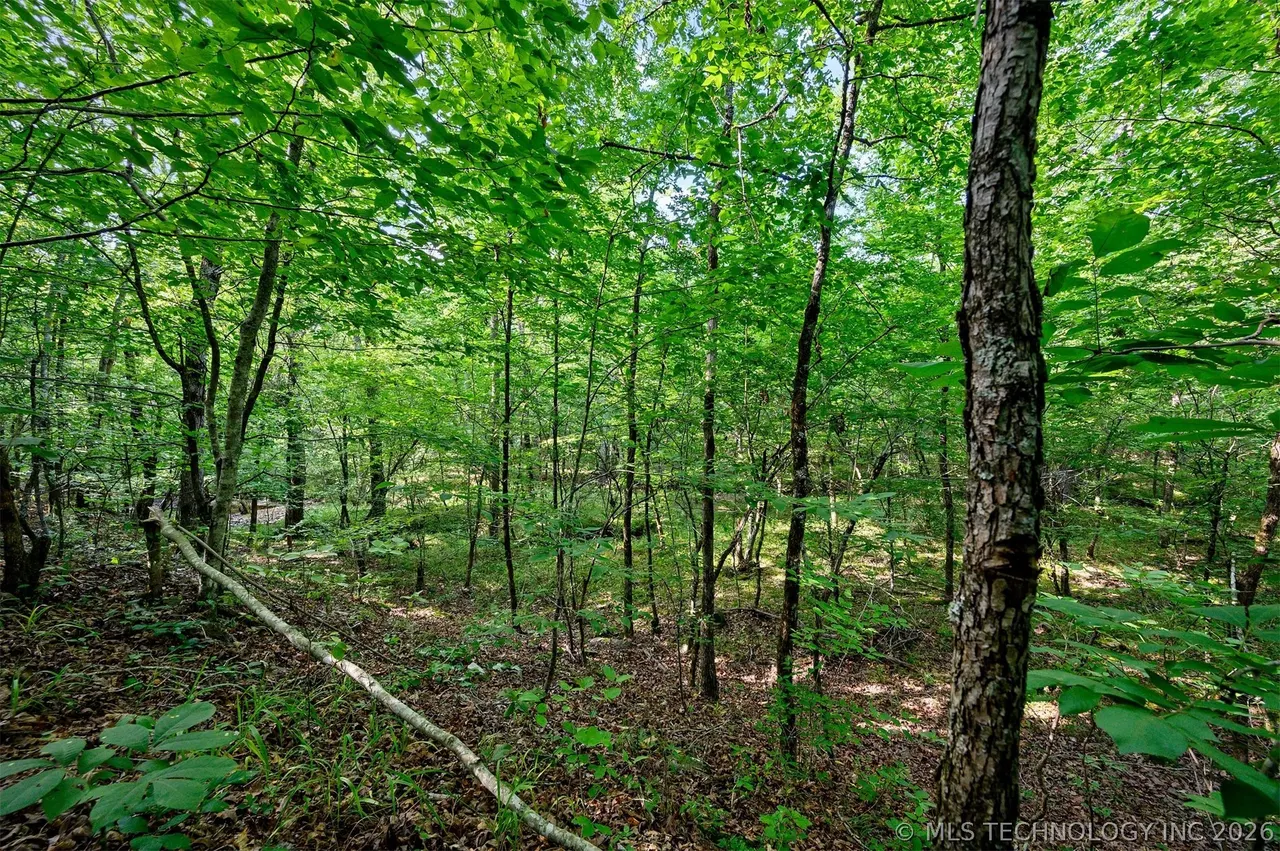 Photo 7 — 66 Aged Acacia Trail, Broken Bow, OK 74728