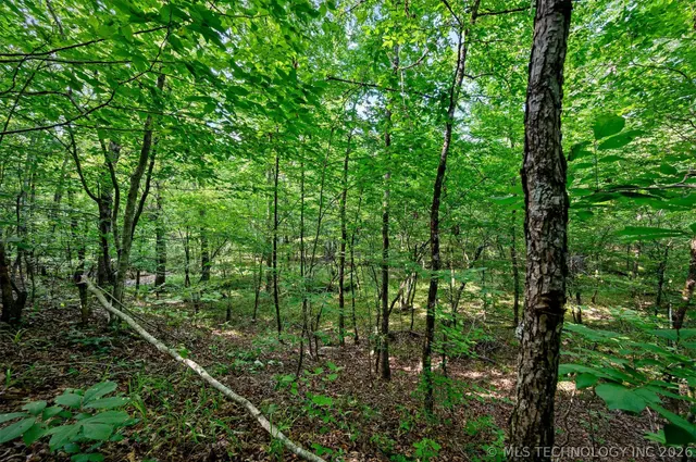 Photo 7 — 66 Aged Acacia Trail, Broken Bow, OK 74728