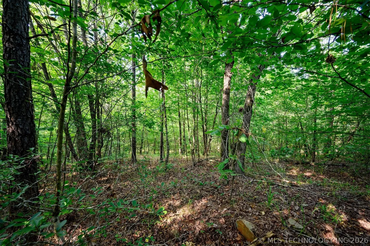 Photo 8 — 66 Aged Acacia Trail, Broken Bow, OK 74728