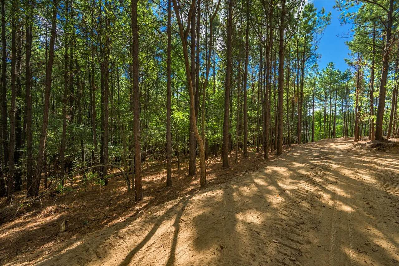 Photo 29 — 256 Woodsman, Broken Bow, OK 74728