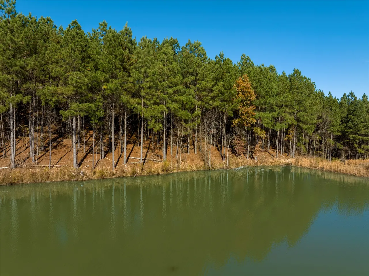 Photo 8 — 256 Woodsman, Broken Bow, OK 74728