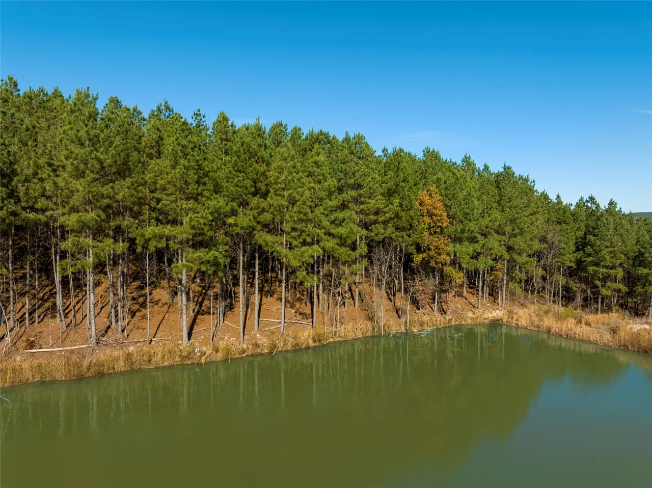Photo 9 — 256 Woodsman, Broken Bow, OK 74728
