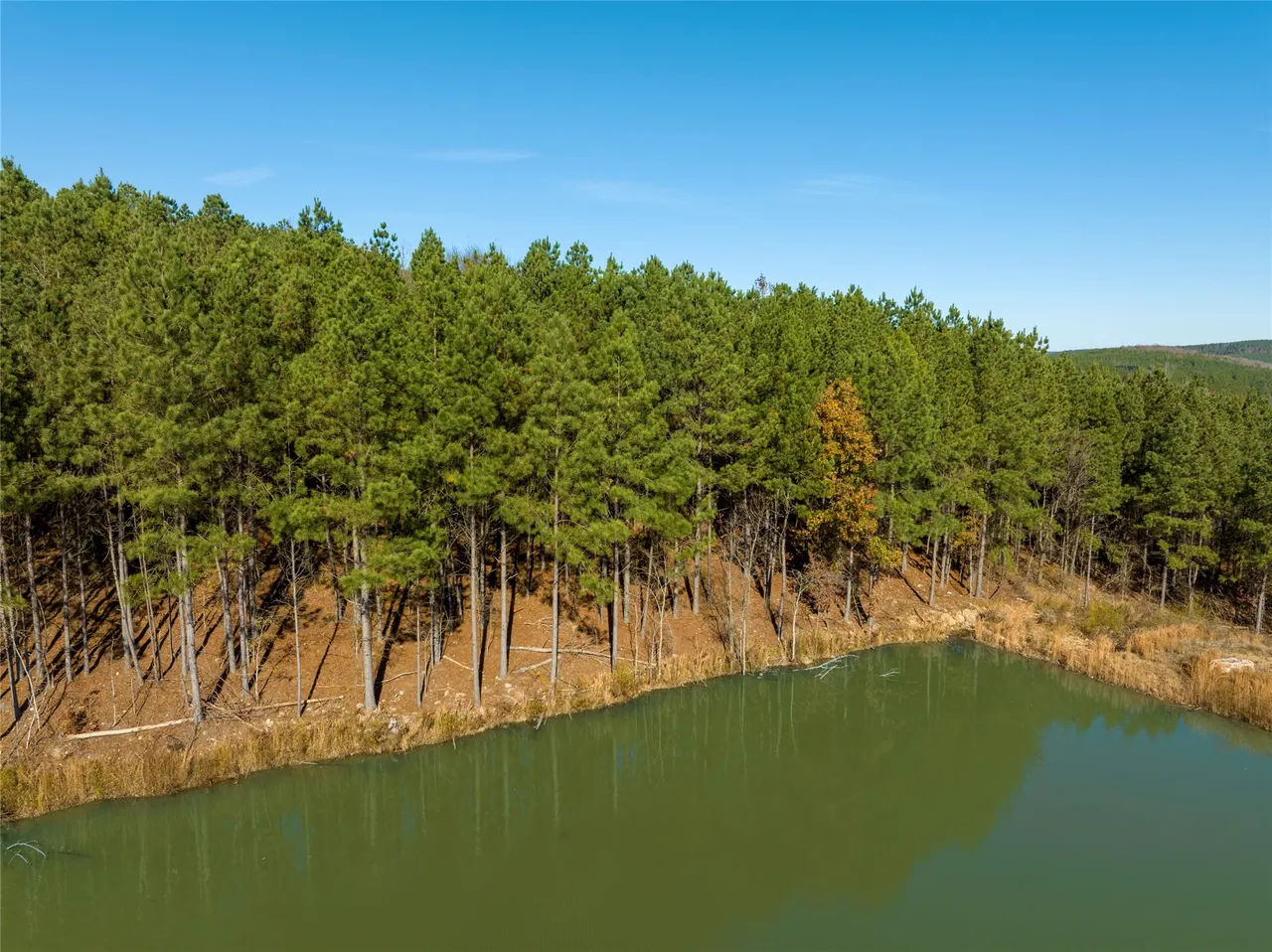 Photo 10 — 256 Woodsman, Broken Bow, OK 74728