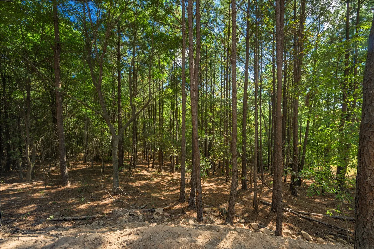 Photo 25 — 256 Woodsman, Broken Bow, OK 74728