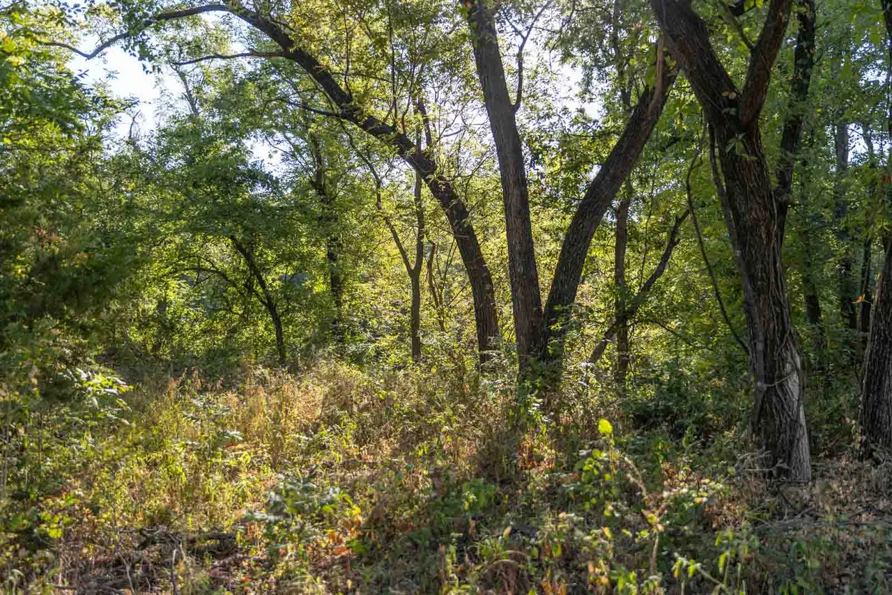 Photo 35 — 23 S Westminster Boulevard, Guthrie, OK 73044