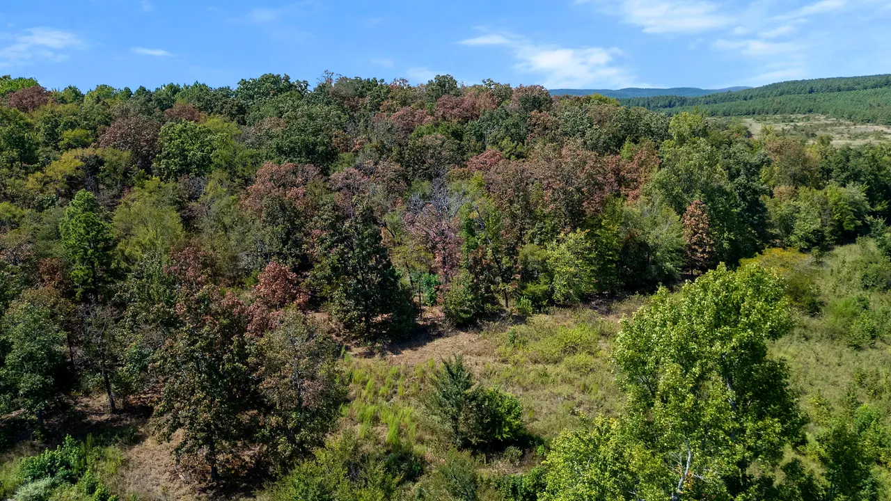 Photo 16 — 0 Rutty Pine Ridge, Broken Bow, OK 74728