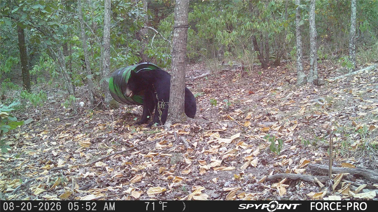 Photo 19 — 0 Rutty Pine Ridge, Broken Bow, OK 74728