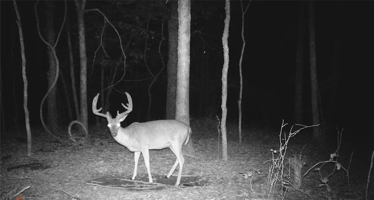 Photo 20 — 0 Rutty Pine Ridge, Broken Bow, OK 74728