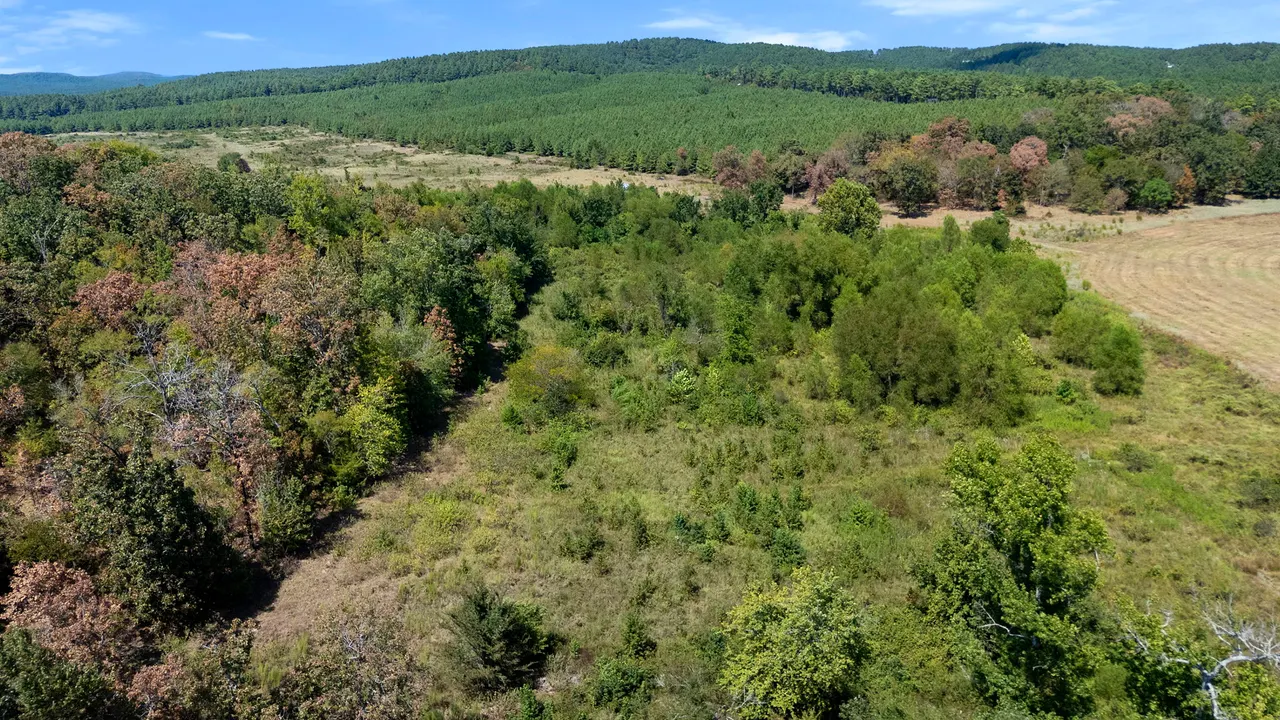 Photo 21 — 0 Rutty Pine Ridge, Broken Bow, OK 74728