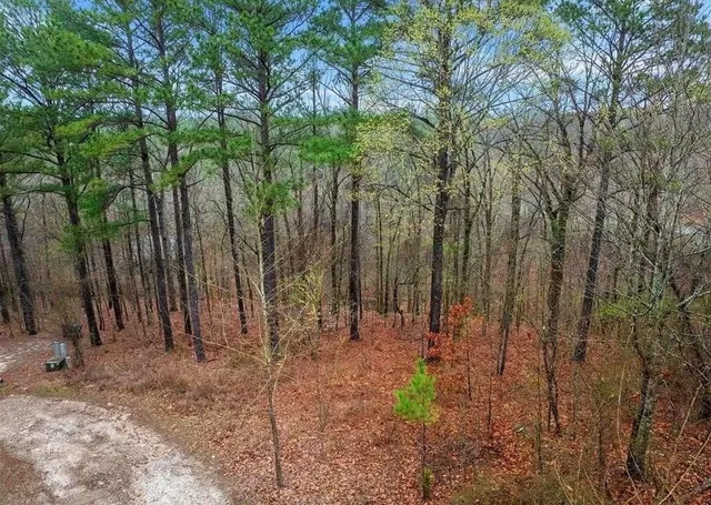 Photo 2 — 217 Hochapine Trail, Broken Bow, OK 74728